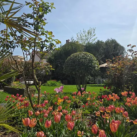 Le Loft De La Chaine Des Puys Jardin, Petanque & Bain Nordique