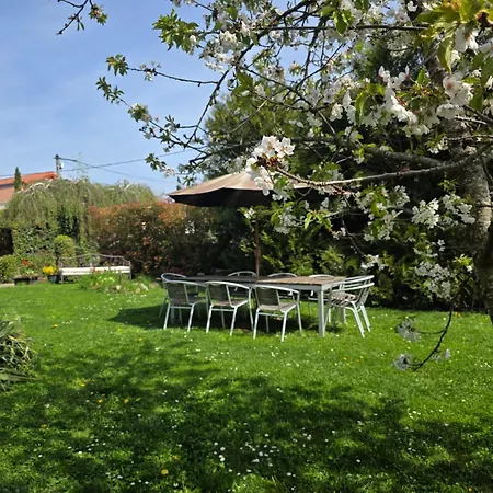 Le Loft De La Chaine Des Puys Jardin, Petanque & Bain Nordique Appartement Châtel-Guyon