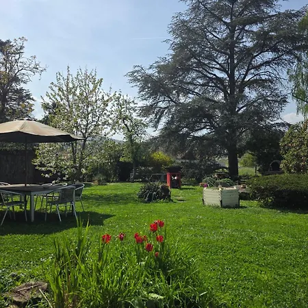 Appartement Le Loft De La Chaine Des Puys Jardin, Petanque & Bain Nordique Châtel-Guyon